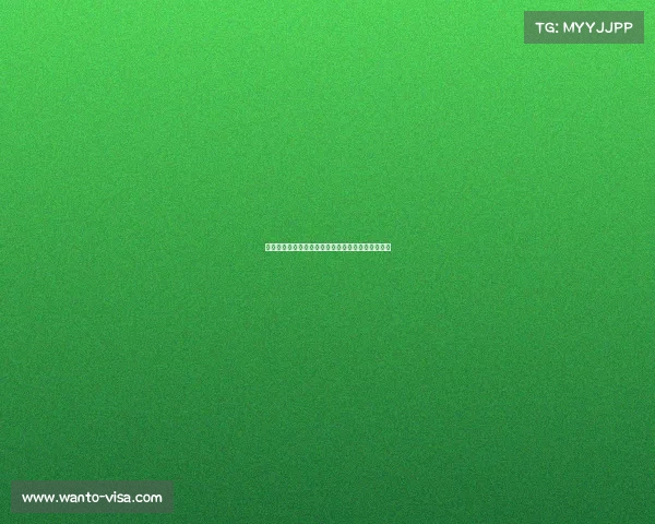 雷霆崛起：从西部劲旅到未来冠军之路的蜕变与挑战