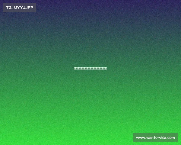 足球俱乐部转会资金投入计划制定与策略优化分析